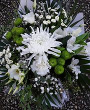 La Tulipe Noire image 10