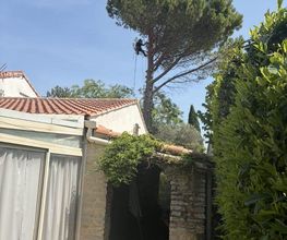 Sannier David Espaces Verts image 4