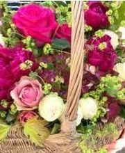 Guyard Benoît image 10