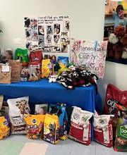 Learning Paths Academy Woodstock image 1