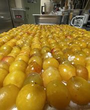 Ferme de La Ruchotte image 5