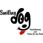 Smiling Dog