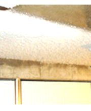 Ribeiro Isolation image 6