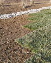 Lamb's Lawn Service & Landscaping LLC image 5