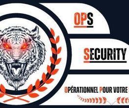 Ops Security image 1