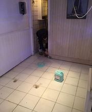 BM Peintures image 8