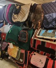 Sellerie Alidada image 4