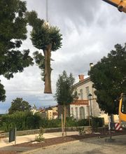 Des Racines à la Cime image 12