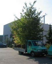 Gaertnerei in Basel-Stadt