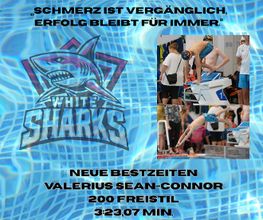 White Sharks e.V. Bild 3