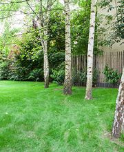 Team Schaad AG Bild 5