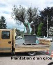 Velay Espaces Verts image 6