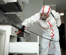 fumigaciones.jpg