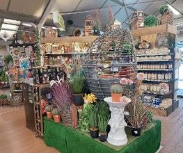 Gamm vert image 12