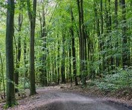FriedWald Saarbrücken Bild 6