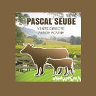 Seube Pascal