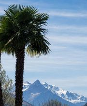 Hotel Saint Georges Lourdes Pyrenees image 6