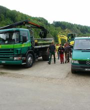 baumgartner gärtnerei Bild 5