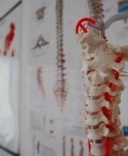 Human Care - Fisioterapia e Riabilitazione - Centro del Mal di Schiena Bild 4