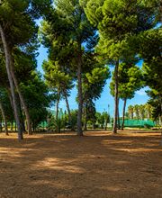 Renova Residence immagine 5