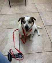 Loyalsock Animal Hospital image 2