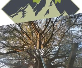 Sempervirens image 12