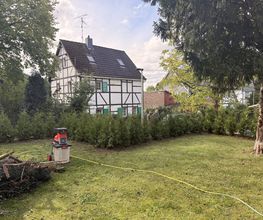 IMG_5812.JPG