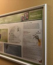 Asthma & Allergy Center: Dr. Anil Nanda, MD image 20