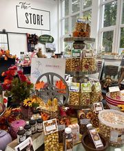 American Heritage Augsburg Bild 4