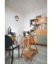 Anisoptera Coaching image 9