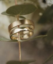 Sylvia Tarkowski Photography Bild 12