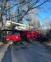 Southeast Tree image 17