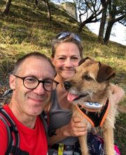 4-Pfoten Coaching Nicole Pirola Bild 4