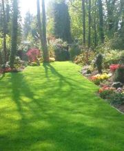 Gartenbau Anton Siemens Köln