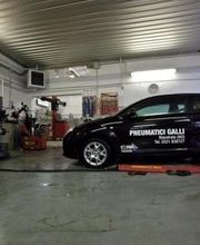Gallery Cliente