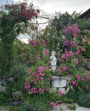 Bed and Breakfast "Im Röseligarten" Bild 6