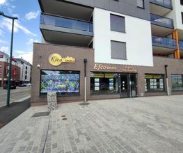 Efco Immo image 1