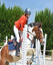 Les Ecuries du Domaine du Grand Air image 1