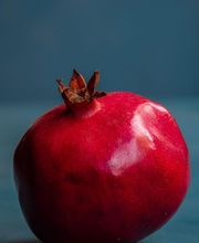 Alan Pauline image 2