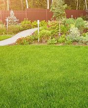 Lucas Pichenot Paysage image 2