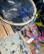 Les Chapeaux de Nina image 5