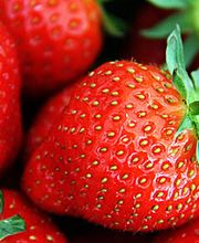 Probabio Sarl image 1