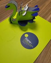 SIGNES DISTINCTIFS image 15