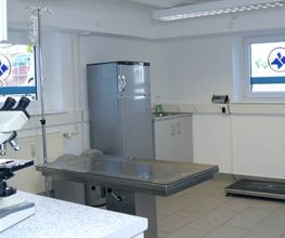 Tierarztpraxis Veitsbronn Bild 4