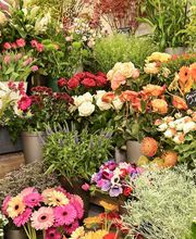 Au Fil des Saisons image 16