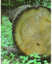 Christian Weimer e.K. Bild 6