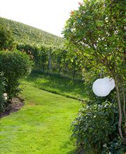 Bont Gartenbau und Gartenpflege AG Bild 13