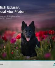 AgiStore Bild 3