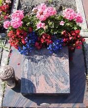 Blumen Grünert Bild 5