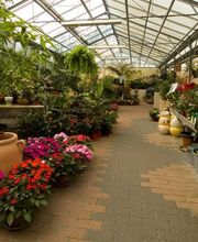 Berjamin Ets image 2